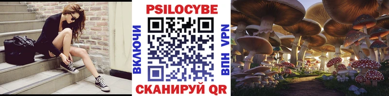 Псилоцибиновые грибы Cubensis  hydra как войти  Пикалёво  купить наркотик 